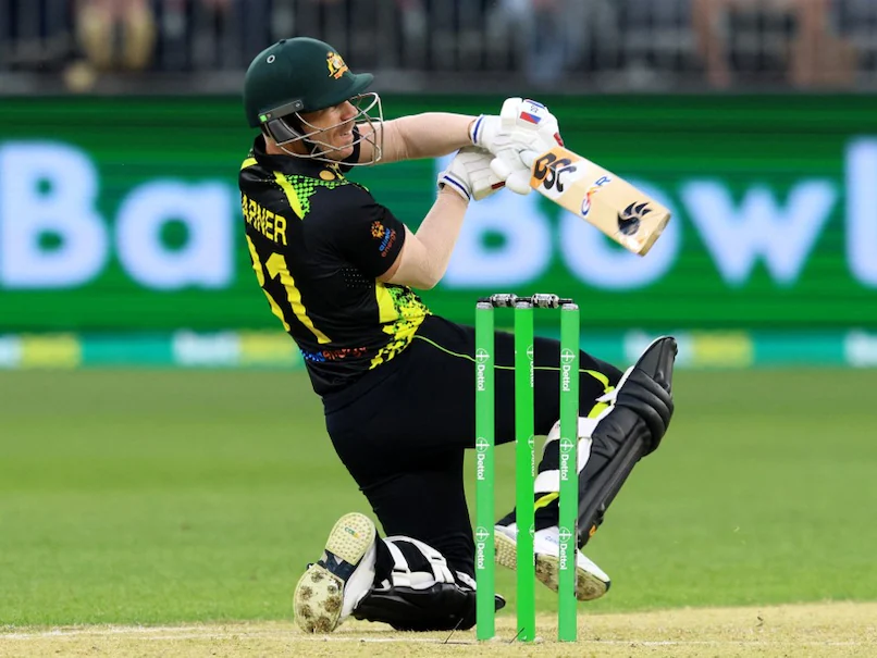 AUS concern about David Warner's Injury Ahead of The World Cup