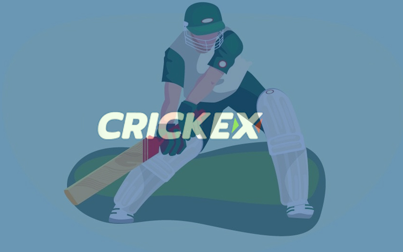 Best strategy for betting on cricket in Crickex